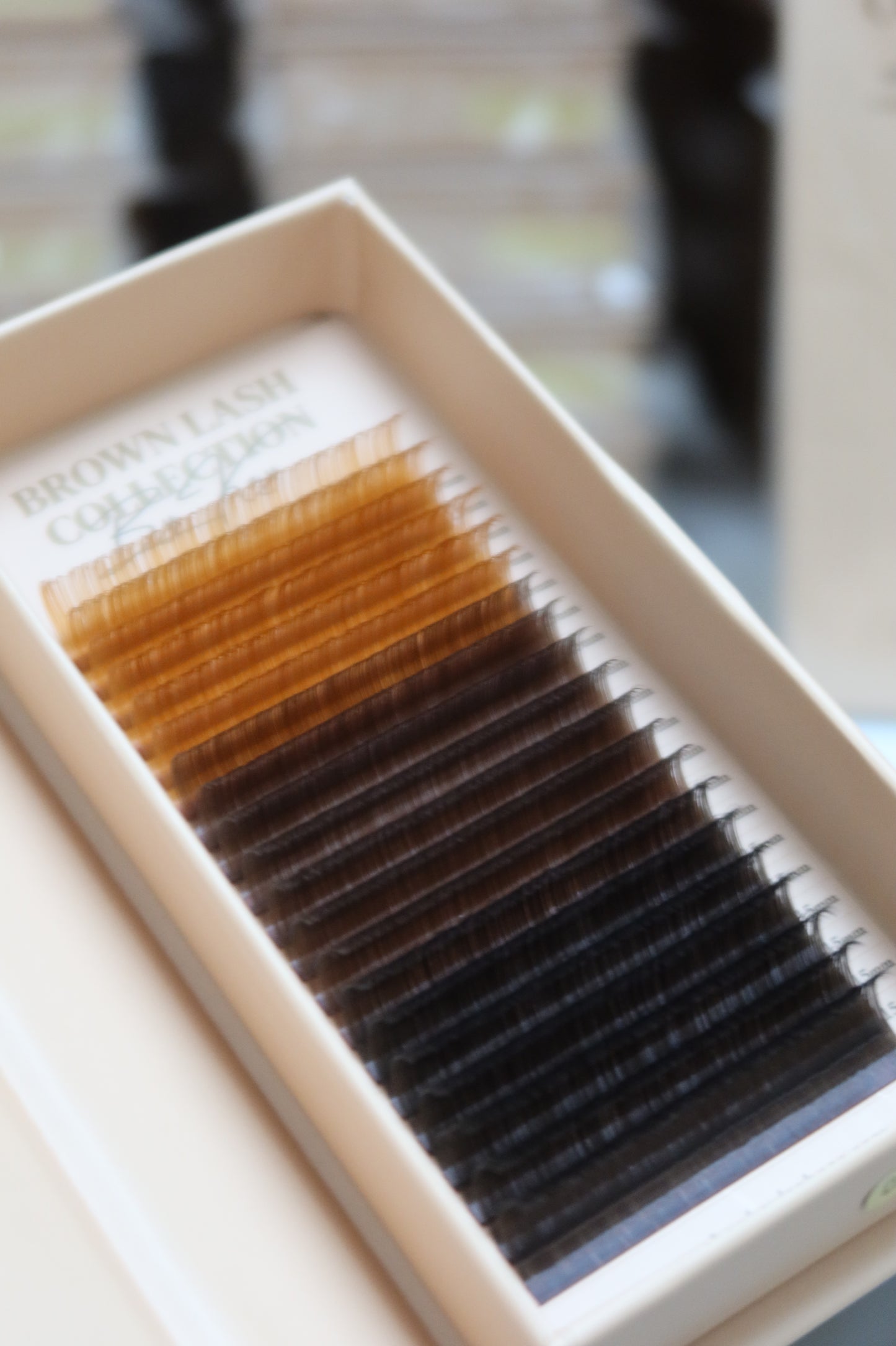 BROWN LASH COLLECTION