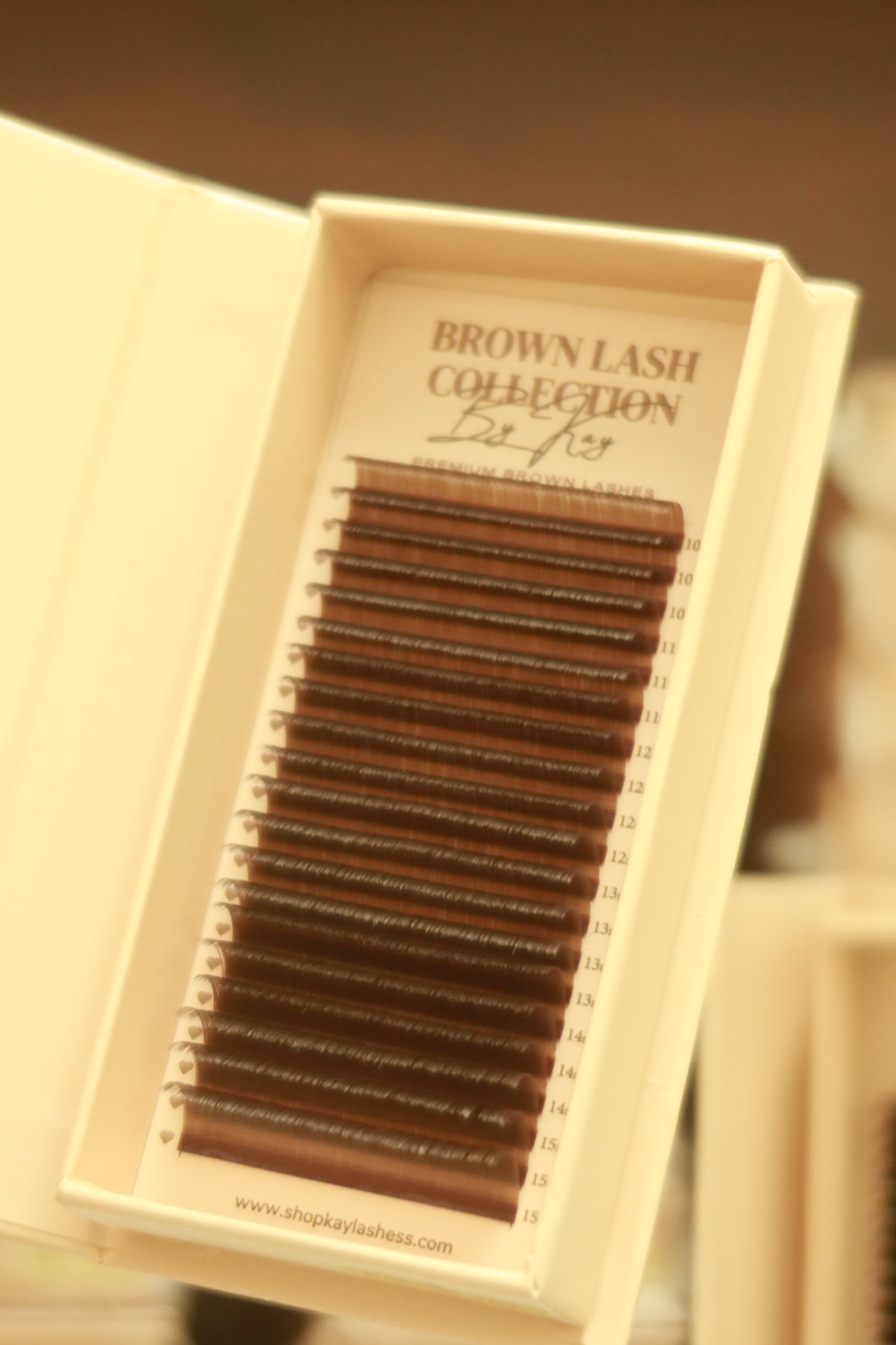 BROWN LASH COLLECTION