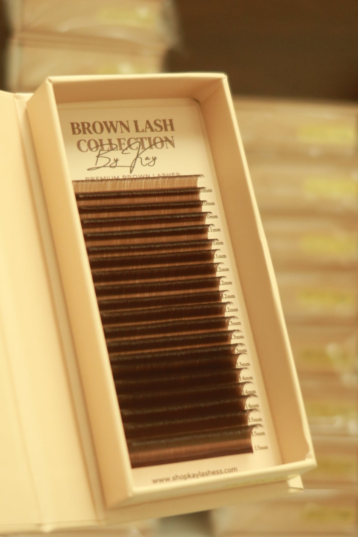 BROWN LASH COLLECTION