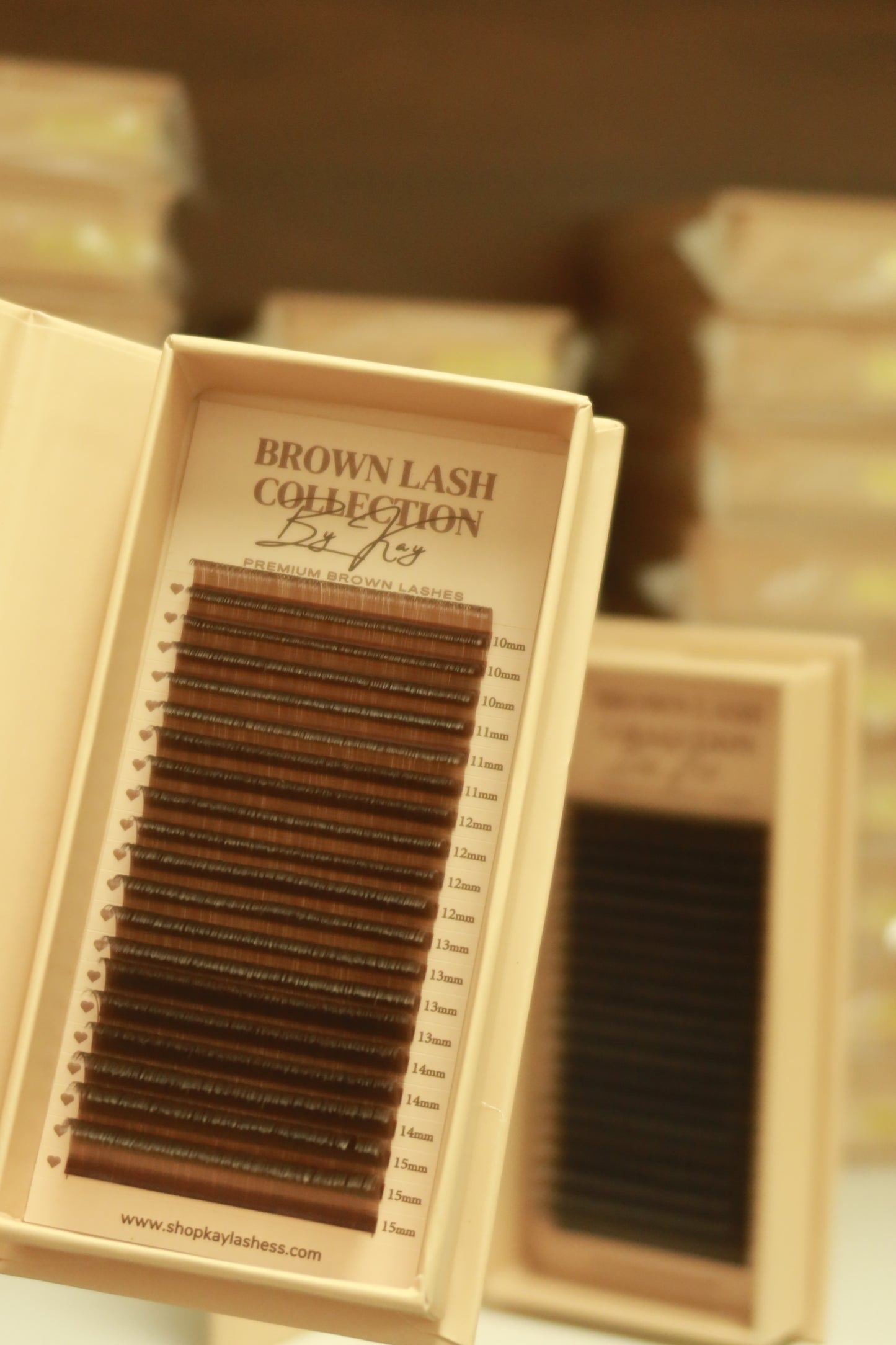 BROWN LASH COLLECTION
